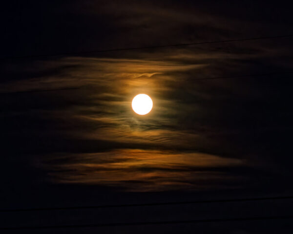 Full Moon in Gold