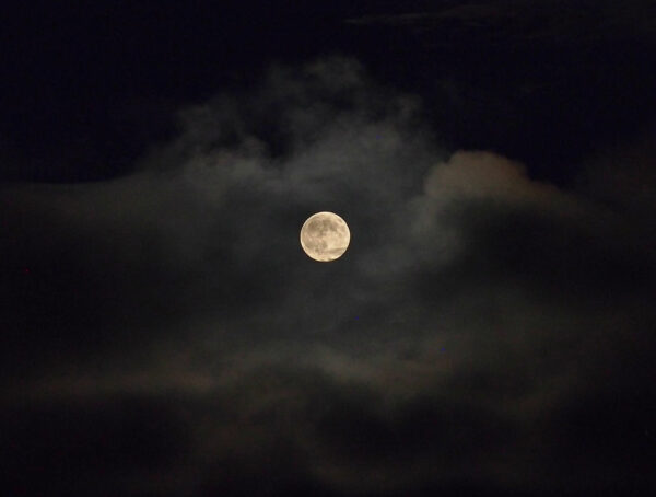 Full Moon by Starlight